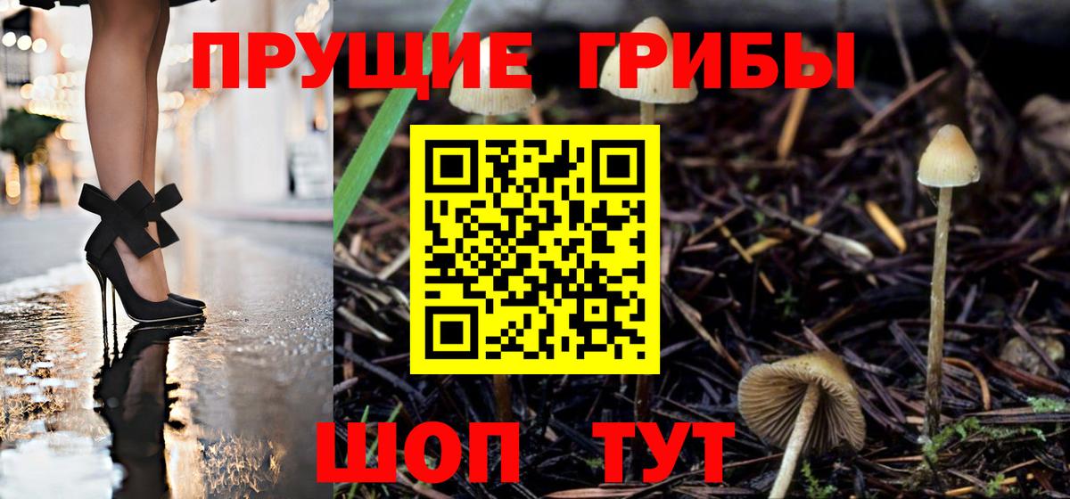 Галлюциногенные грибы GOLDEN TEACHER  Вход с VPN  продажа наркотиков  Ступино 