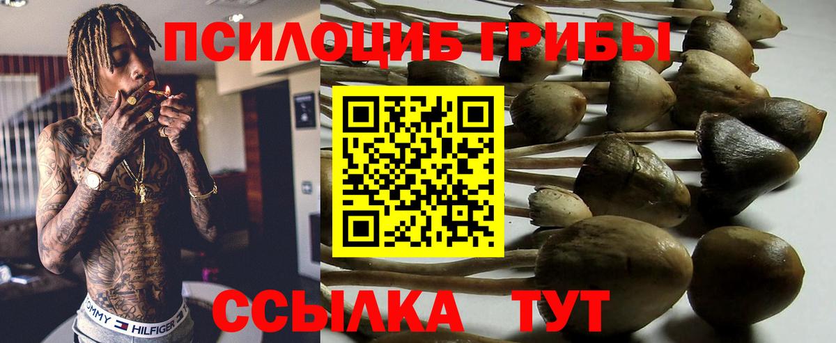 НБОМе Ступино