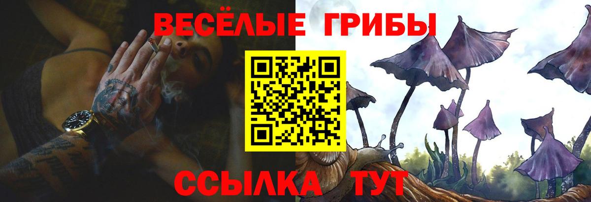 Псилоцибиновые грибы мухоморы Ступино